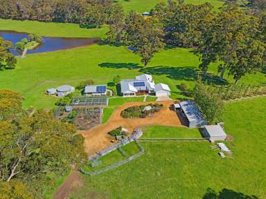 Farm For Sale - WA - Scotsdale - 6333 - Springwood Farm  (Image 2)