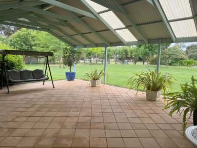 Farm For Sale - SA - Naracoorte - 5271 - Beautifully Established - Views on 7.46 Acres  (Image 2)