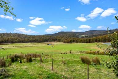 Farm For Sale - TAS - Colebrook - 7027 - "CAE MAWR" the big field  (Image 2)