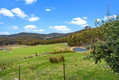 Farm For Sale - TAS - Colebrook - 7027 - "CAE MAWR" the big field  (Image 2)