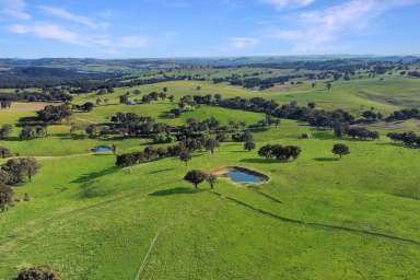 Farm For Sale - NSW - Woodstock - 2793 - 1,385ACRES* OF SECURE, HIGH RAINFALL TABLELANDS GRAZING!  (Image 2)