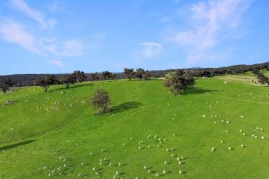 Farm For Sale - NSW - Woodstock - 2793 - 1,385ACRES* OF SECURE, HIGH RAINFALL TABLELANDS GRAZING!  (Image 2)