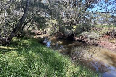 Farm For Sale - WA - Capel River - 6271 - Capel River Frontage - Lifestyle and Investment Opportunity 40.51 HA*(100.1 Ac)  (Image 2)