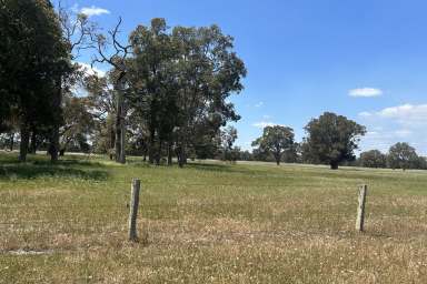 Farm For Sale - WA - Capel River - 6271 - Capel River Frontage - Lifestyle and Investment Opportunity 40.51 HA*(100.1 Ac)  (Image 2)