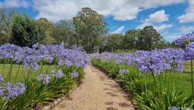 Farm For Sale - QLD - Cabarlah - 4352 - 40-acre rural property, large country homestead, swimming pool, sheds, yards, bore & creek.  (Image 2)