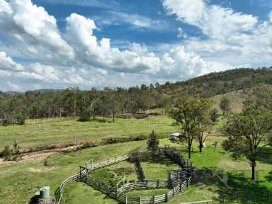 Farm For Sale - QLD - Calgoa - 4570 - Calgoa Grazing Block  (Image 2)