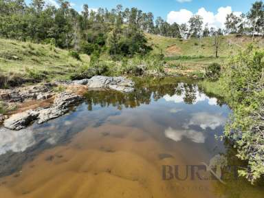 Farm For Sale - QLD - Calgoa - 4570 - Calgoa Grazing Block  (Image 2)