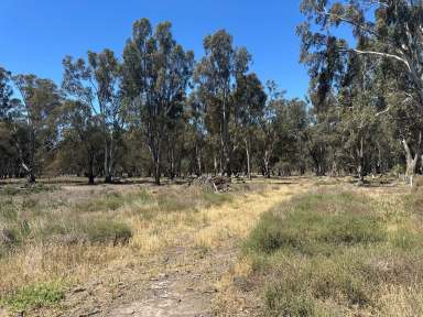 Farm For Sale - VIC - Gannawarra - 3568 - Idyllic Bushland Haven on Gunbower Creek: Rare Creekfront Acreage  (Image 2)