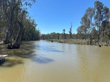 Farm For Sale - VIC - Gannawarra - 3568 - Idyllic Bushland Haven on Gunbower Creek: Rare Creekfront Acreage  (Image 2)