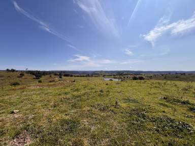 Farm For Sale - NSW - Bannaby - 2580 - Everybody Is Working For The Weekend ,This Property is Perfect For That, Just waiting for You, Your Family, & Friends.  (Image 2)