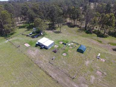 Farm For Sale - NSW - Leeville - 2470 - LIFESTYLE AND FARMING - LEEVILLE 156 ACRES  (Image 2)