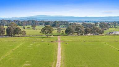 Farm For Sale - VIC - Newry - 3859 - 130 Acres of irrigated Macalister River Flats  (Image 2)