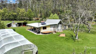 Farm For Sale - VIC - Noorinbee North - 3890 - Country Road Take Me Home  (Image 2)