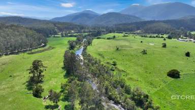 Farm For Sale - VIC - Noorinbee North - 3890 - Country Road Take Me Home  (Image 2)