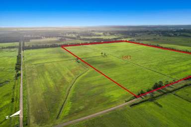 Farm For Sale - QLD - Bli Bli - 4560 - Get Your Slice of Paradise!  (Image 2)