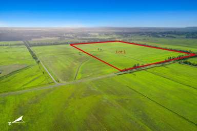 Farm For Sale - QLD - Bli Bli - 4560 - Get Your Slice of Paradise!  (Image 2)