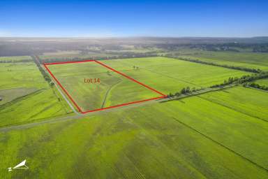 Farm For Sale - QLD - Bli Bli - 4560 - Laser Levelled with Road Frontage  (Image 2)