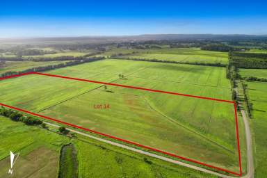 Farm For Sale - QLD - Bli Bli - 4560 - Laser Levelled with Road Frontage  (Image 2)