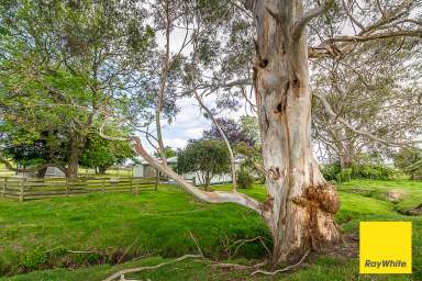 Farm For Sale - VIC - Toora - 3962 - Timeless family homestead  (Image 2)