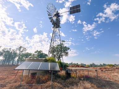 Farm Auction - QLD - Dunkeld - 4465 - Vendors Retiring - Property Must be Sold  (Image 2)