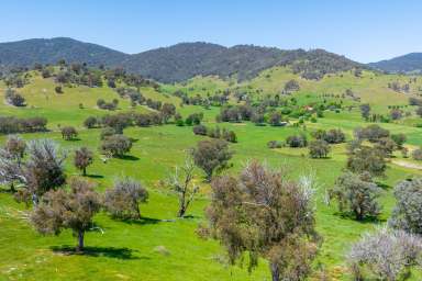 Farm For Sale - VIC - Staghorn Flat - 3691 - Great location with views 41*Ha / 101*Acres  (Image 2)