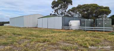 Farm For Sale - WA - Wellstead - 6328 - Proven Performer in a Reliable Rainfall Location  (Image 2)