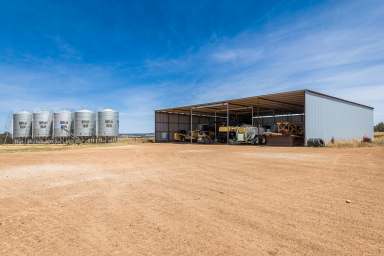 Farm For Sale - WA - Bolgart - 6568 - "Blue Chip Enterprise "  (Image 2)