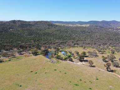 Farm Sold - NSW - Bethungra - 2590 - 100acs* With Scenic Views Of The Bethungra Hills  (Image 2)