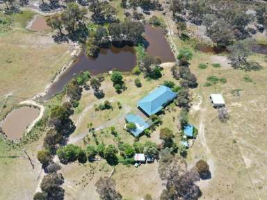 Farm Auction - NSW - Bethungra - 2590 - 100acs* With Scenic Views Of The Bethungra Hills  (Image 2)