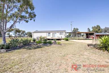 Farm For Sale - NSW - Eumungerie - 2822 - From Paddock To Plate!  (Image 2)