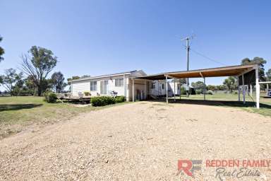 Farm For Sale - NSW - Eumungerie - 2822 - From Paddock To Plate!  (Image 2)