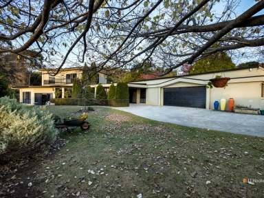 Farm For Sale - TAS - Acacia Hills - 7306 - Dual Living Lifestyle Opportunity  (Image 2)