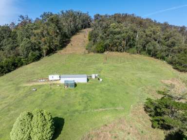 Farm For Sale - NSW - Tarraganda - 2550 - TARRAGANDA VACANT LAND  (Image 2)