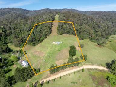 Farm For Sale - NSW - Tarraganda - 2550 - TARRAGANDA VACANT LAND  (Image 2)