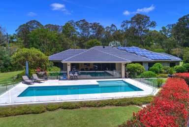 Farm For Sale - QLD - Cooroy - 4563 - Luxurious 4-Bedroom Family Estate on 2.5 Acres With Pool, Shed and Complete Privacy in Cooroy  (Image 2)