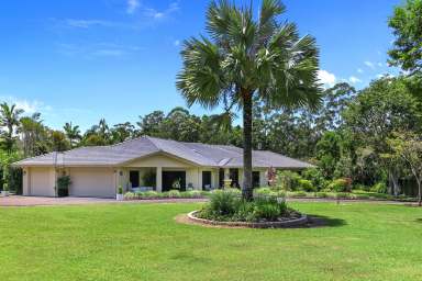 Farm For Sale - QLD - Cooroy - 4563 - Luxurious 4-Bedroom Family Estate on 2.5 Acres With Pool, Shed and Complete Privacy in Cooroy  (Image 2)