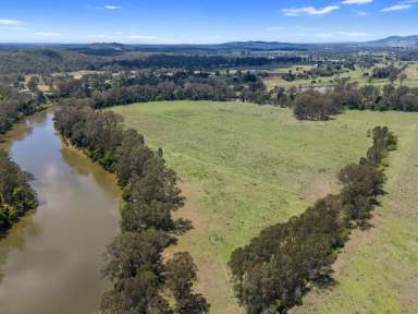 Farm For Sale - QLD - Tiaro - 4650 - MARY RIVER COUNTRY  (Image 2)