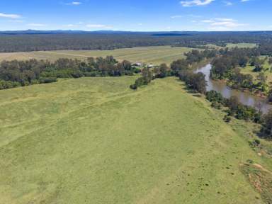 Farm For Sale - QLD - Tiaro - 4650 - PRIME MARY RIVER COUNTRY  (Image 2)