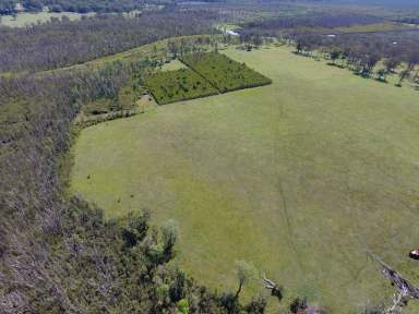 Farm For Sale - NSW - Bora Ridge - 2471 - 190 ACRES - DWELLING AND 2ND DWELLING OPPORTUNITY  (Image 2)