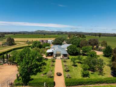 Farm For Sale - VIC - Glenrowan West - 3675 - PREMIUM LIFESTYLE AND PRODUCTIVE AGRICULTURAL OFFERING  (Image 2)