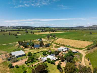 Farm For Sale - VIC - Glenrowan West - 3675 - PREMIUM LIFESTYLE AND PRODUCTIVE AGRICULTURAL OFFERING  (Image 2)