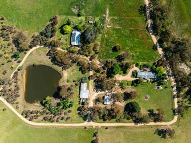 Farm For Sale - VIC - Pastoria - 3444 - HIGHLY PRODUCTIVE LIVESTOCK GRAZING OPERATION  (Image 2)