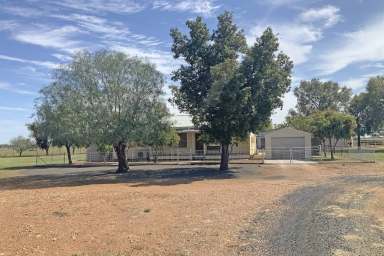 Farm For Sale - NSW - Peak Hill - 2869 - Country lifestyle close to town.  (Image 2)