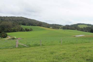 Farm For Sale - NSW - Megan - 2453 - 'Valleyrose East'  (Image 2)