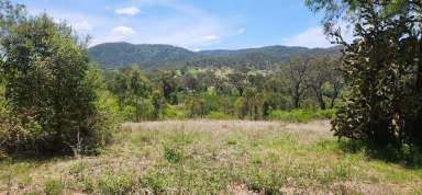 Farm For Sale - QLD - Boolboonda - 4671 - Twenty Acre Block in Boolboonda Qld  (Image 2)