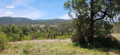 Farm For Sale - QLD - Boolboonda - 4671 - Twenty Acre Block in Boolboonda Qld  (Image 2)