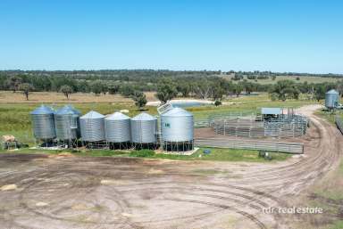 Farm For Sale - NSW - Inverell - 2360 - Premium Lifestyle, Productive Agricultural Offering  (Image 2)