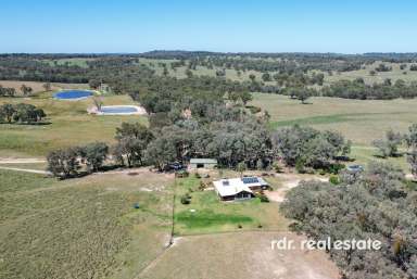 Farm For Sale - NSW - Inverell - 2360 - Premium Lifestyle, Productive Agricultural Offering  (Image 2)