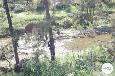 Farm For Sale - NSW - Canowindra - 2804 - Great lifestyle and grazing block  (Image 2)