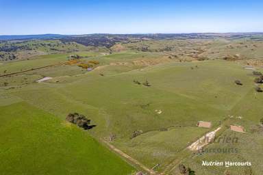 Farm For Sale - VIC - Kilmore - 3764 - On the Edge of Kilmore  (Image 2)